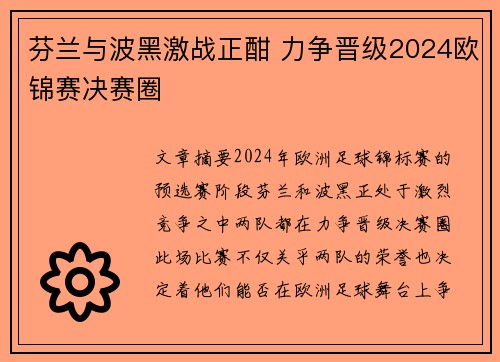 芬兰与波黑激战正酣 力争晋级2024欧锦赛决赛圈