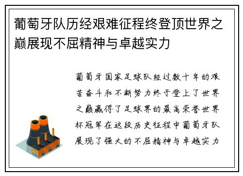 葡萄牙队历经艰难征程终登顶世界之巅展现不屈精神与卓越实力