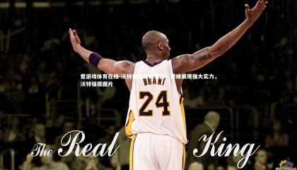 爱游戏体育在线-沃特福德逆袭获胜！黄蜂展现强大实力，沃特福德图片