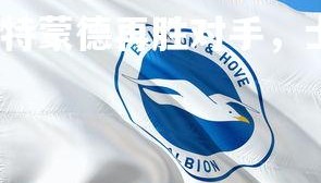 爱游戏体育在线-多特蒙德再胜对手，士气高涨，多特蒙德今年实力