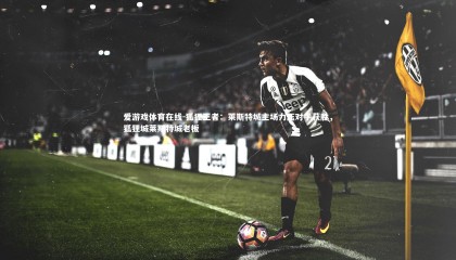 爱游戏体育在线-狐狸王者：莱斯特城主场力压对手获胜，狐狸城莱斯特城老板