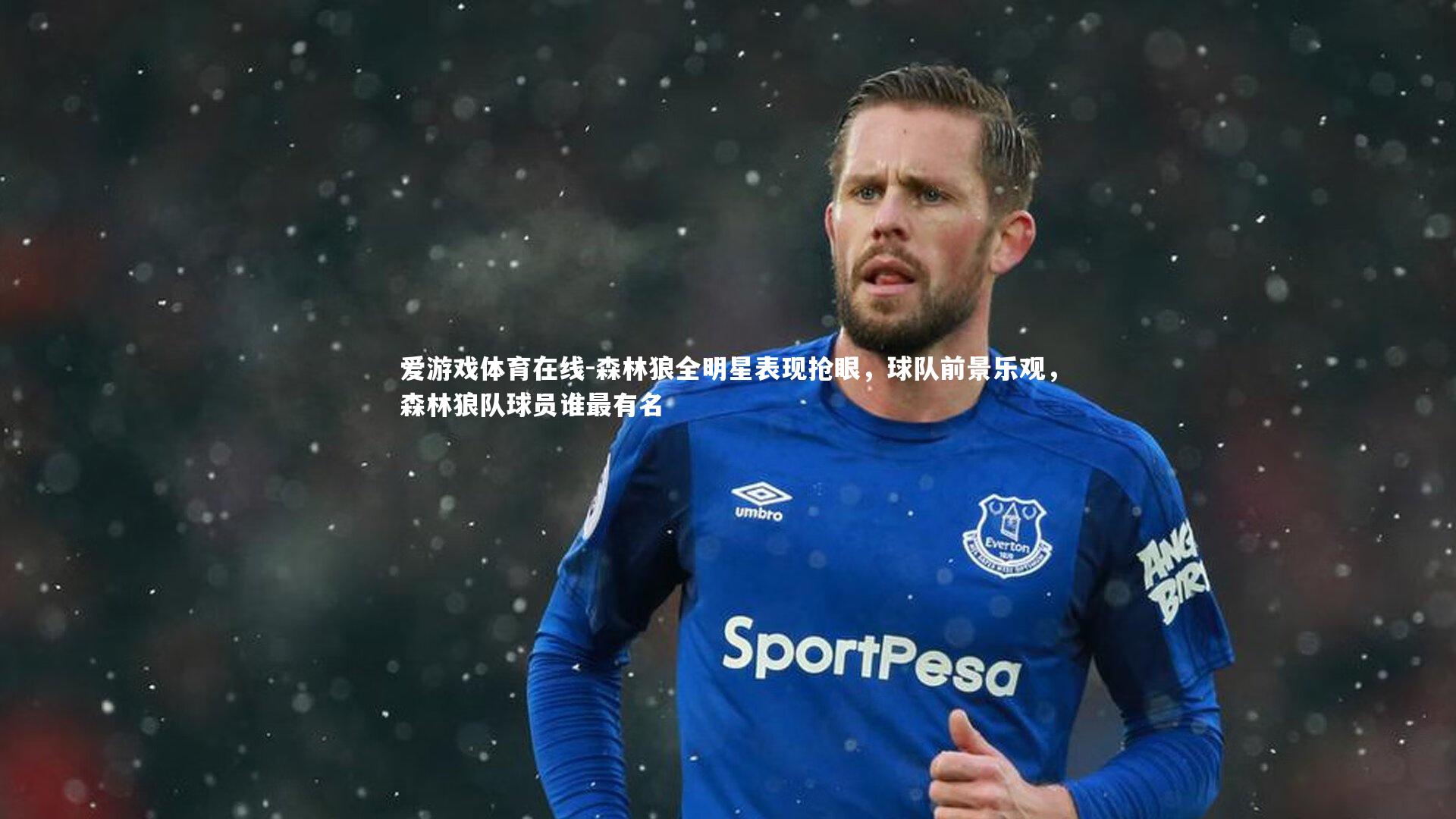 森林狼全明星表现抢眼，球队前景乐观，森林狼队球员谁最有名